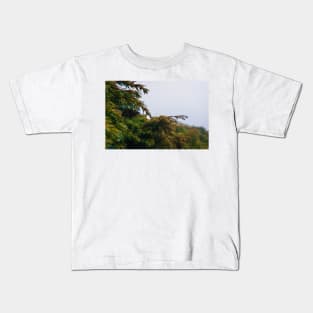 coniferous dew Kids T-Shirt